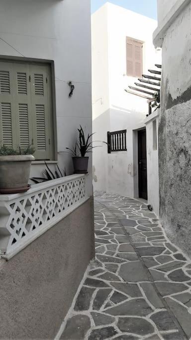 Naxion Esti - Διαμονή Στην Παλιά Χώρα Της Νάξου Villa Naxos City Екстериор снимка