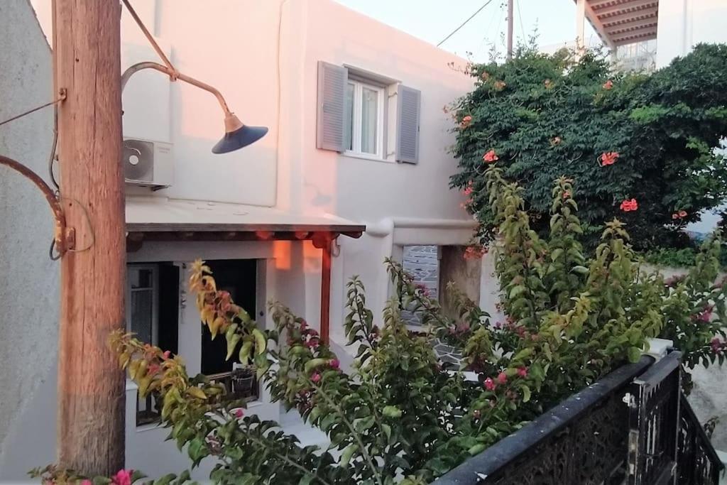 Naxion Esti - Διαμονή Στην Παλιά Χώρα Της Νάξου Villa Naxos City Екстериор снимка